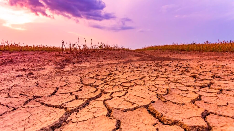 Căutările Google despre „anxietate climatică” au crescut dramatic