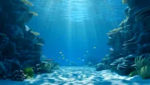 Peste 7.000 de specii noi au fost descoperite în cea mai adâncă fosă oceanică de pe Pământ