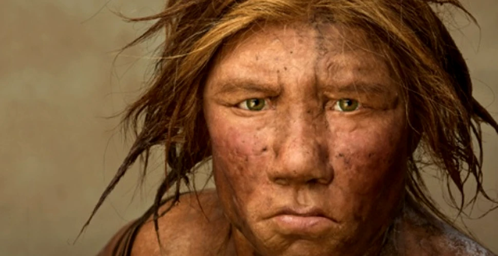 A fost reconstruita prima imagine a unui Neanderthalian