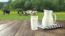 Test de cultură generală. Ce animal bea 600 de litri de lapte pe zi?