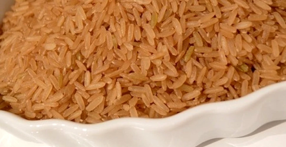 A fost creat „super-orezul” viitorului
