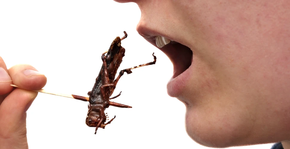 Cum au ajuns oamenii atât de inteligenţi? Mâncând insecte! (VIDEO)