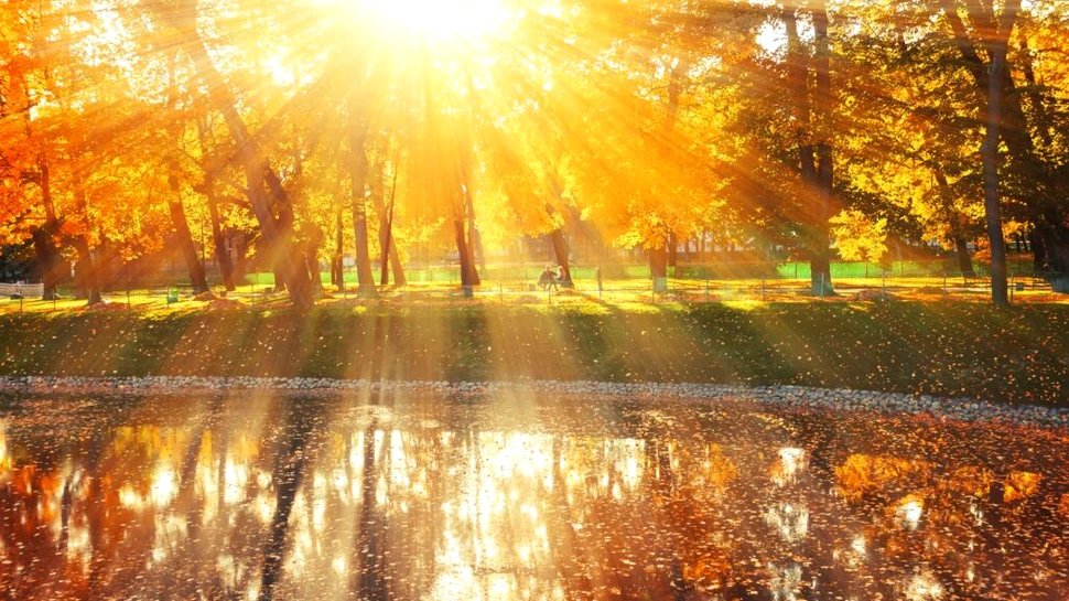 Iată cum lumina naturală poate să ajute diabeticii!