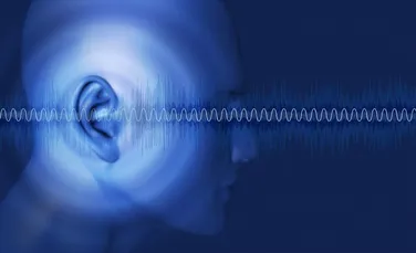Cum auzim de fapt? Cercetătorii au aflat un aspect esenţial care face urechea sensibilă chiar şi la vibraţiile la scară subatomică