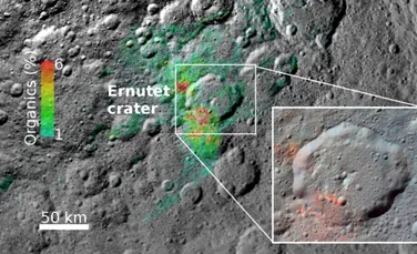 Descoperire uimitoare cu privire la materia organică de pe Ceres: originea acesteia este nativă