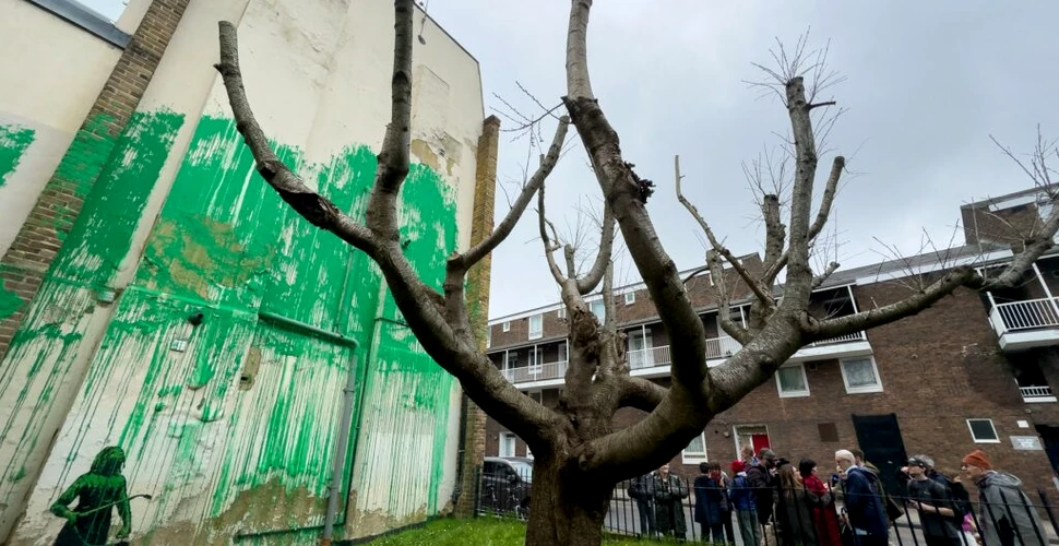 O nouă pictură murală creată de Banksy în Londra