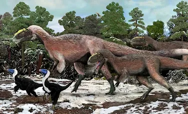 A fost descoperit un dinozaur cu pene, mare cât un autobuz!