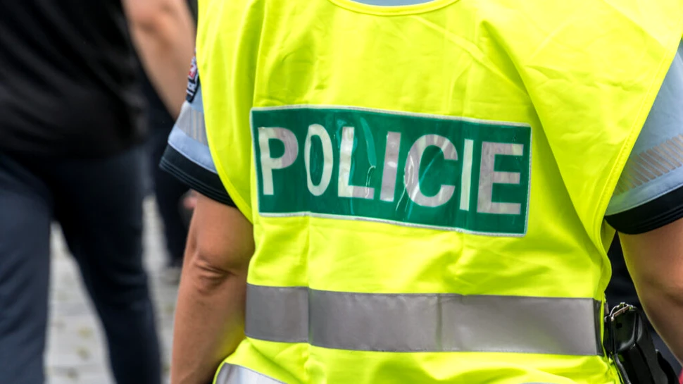 Descoperire sinistră în casa unei femei din Cehia: ținea pui de pisică morți într-un congelator