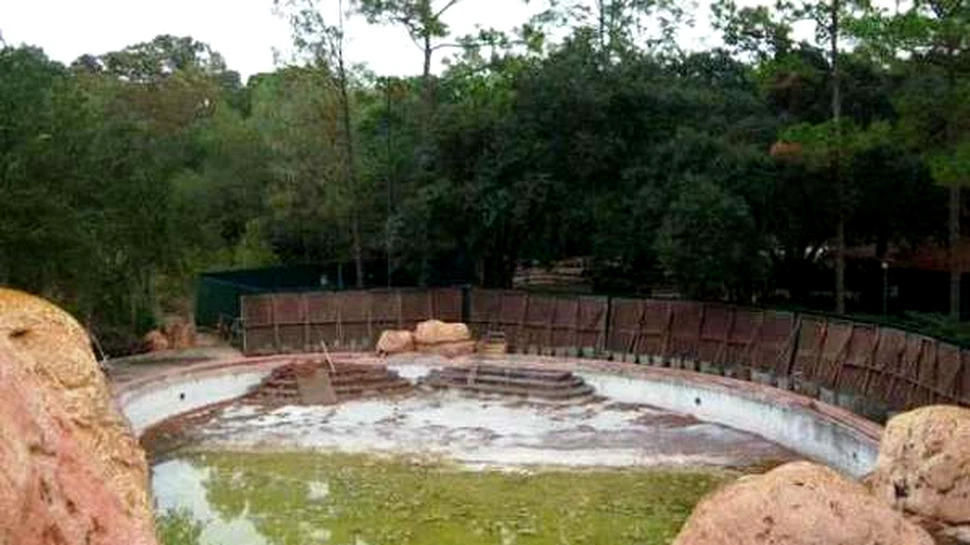 Un parc de amuzament Disney lasat prada uitarii (FOTO)