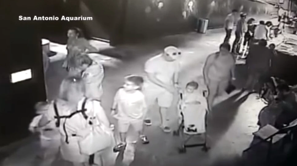 Au furat un rechin dintr-un acvariu cu un cărucior pentru copii
