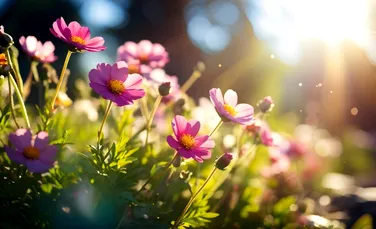 De ce Inteligența Artificială nu înțelege florile așa cum o fac oamenii?