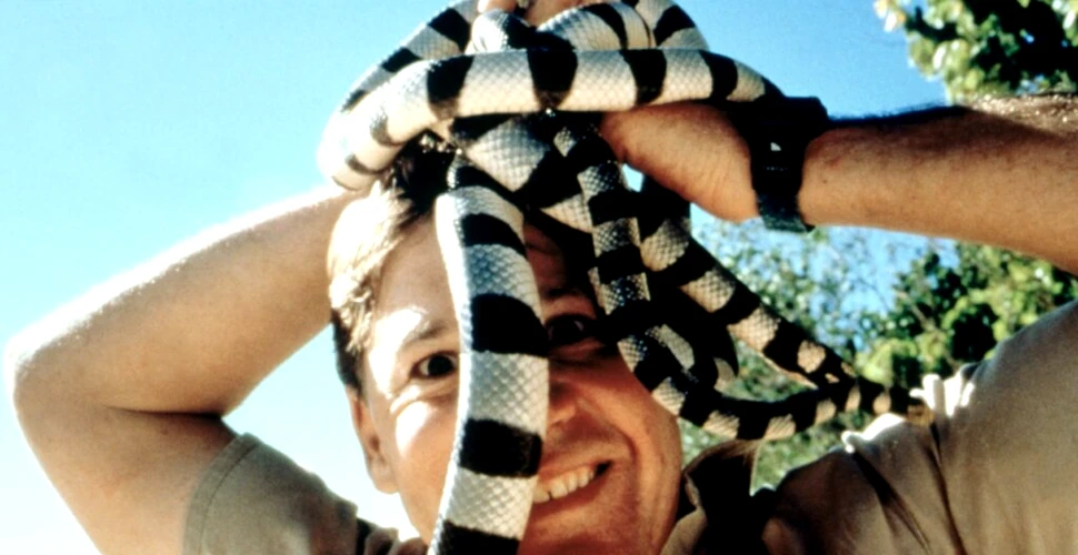 Steve Irwin, cel mai renumit și mai iubit „vânător de crocodili”