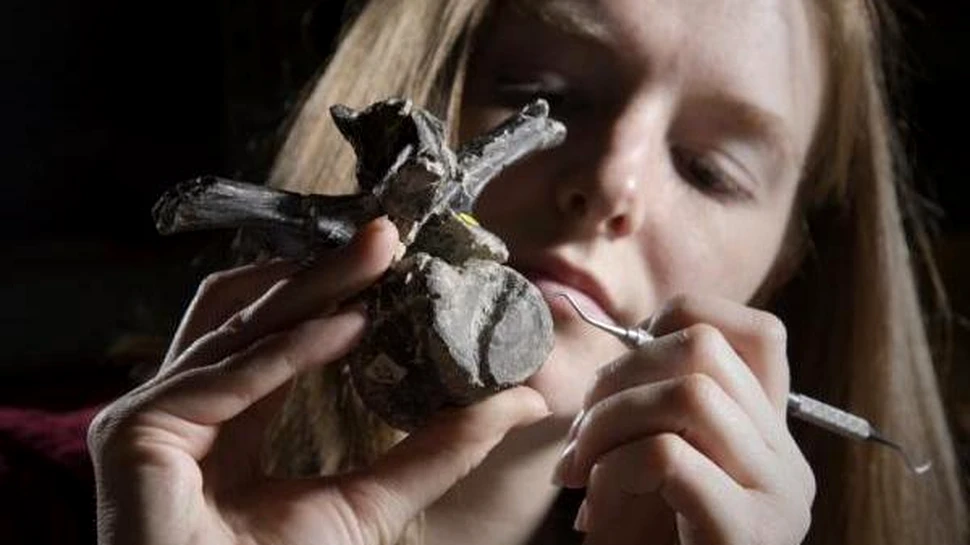 Gandacii preistorici se hraneau cu dinozauri