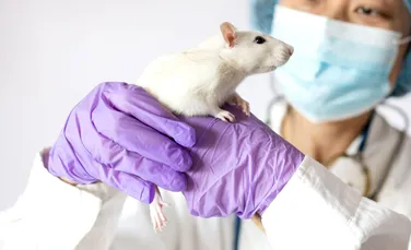 Un tratament a prelungit viața cu 73%, arată un nou studiu