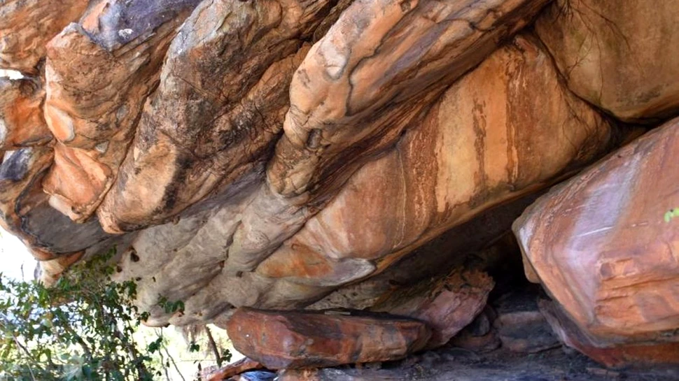 Ce animal înfățișează cea mai veche pictură rupestră descoperită până acum în Australia