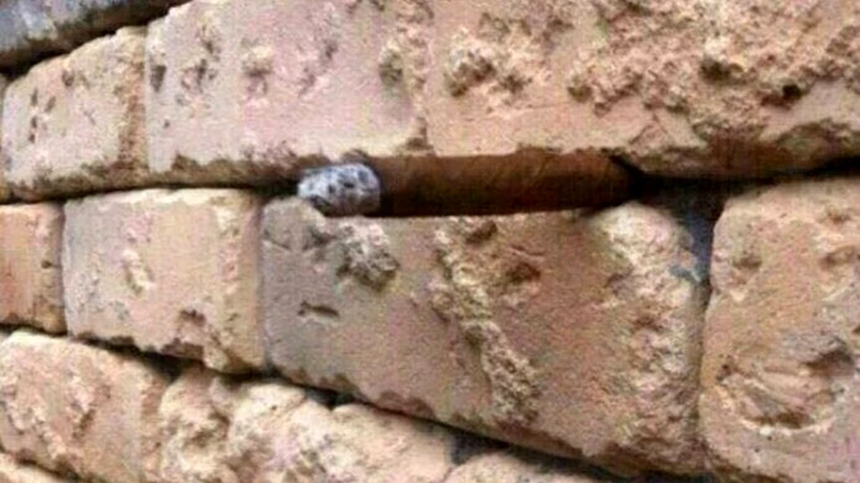 Răspuns la iluzia optică cu peretele din cărămidă