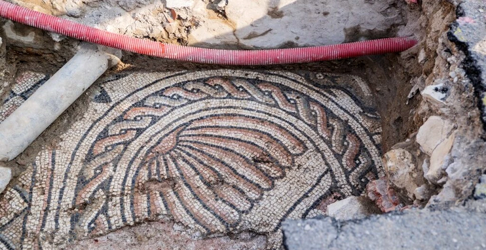 Arheologii au dezvăluit un mozaic roman cu delfini și scoici la un complex de vile din Verona