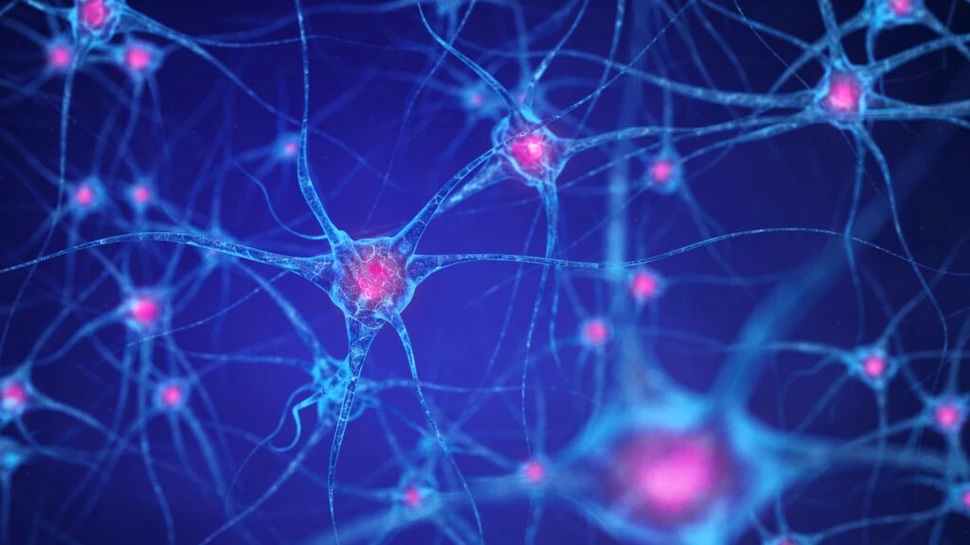 Somnul resetează neuronii pentru noi amintiri