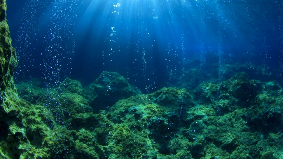 Un sunet misterios din adâncul oceanului a fost în sfârșit explicat