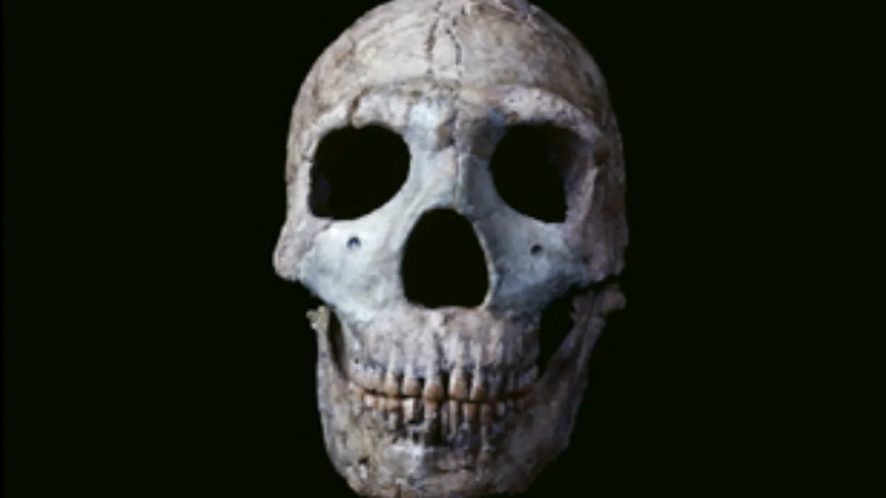 1-neanderthal-324x205 