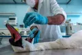 Focare extrem de patogenice de gripă aviară, confirmate deja în 46 de țări