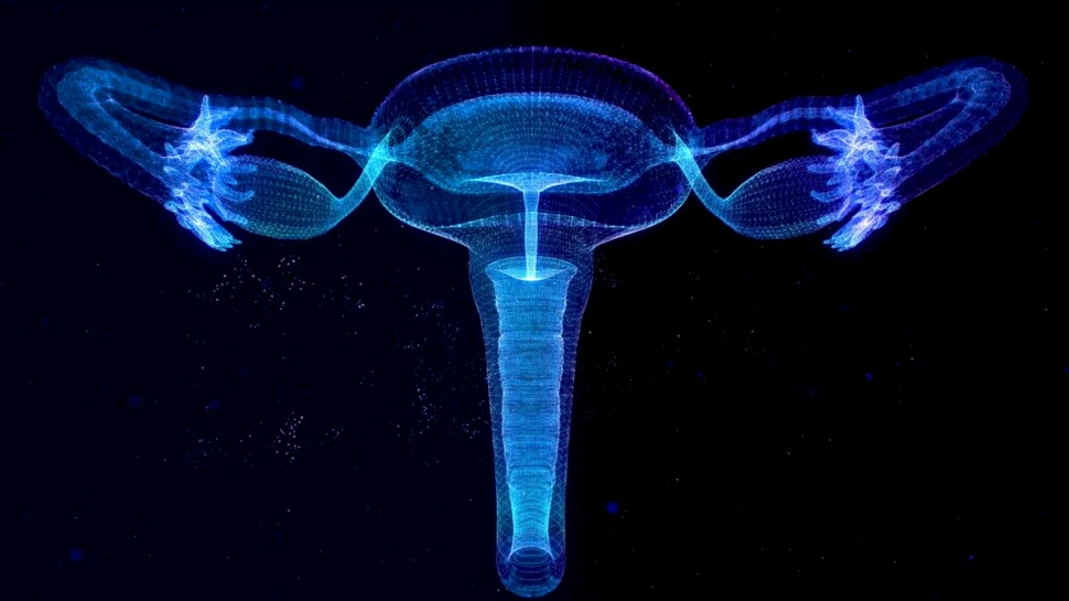 Ceva incredibil se întâmplă cu ovarele după menopauză