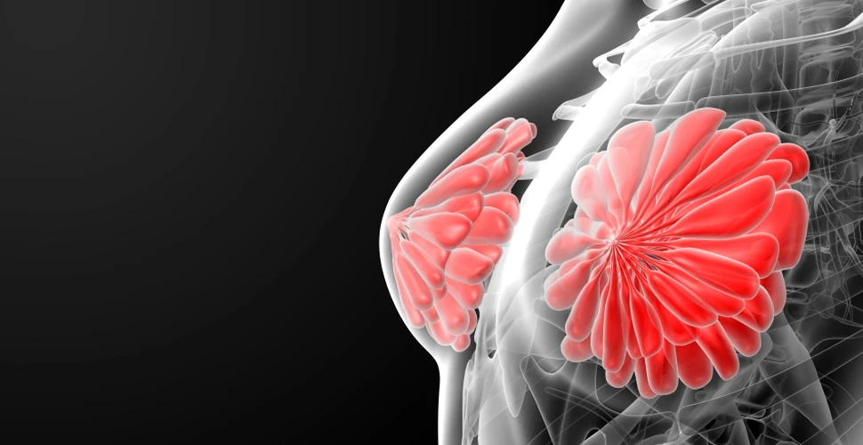 Mamografia 3D salvează vieţi, pentru că este mai eficientă pentru depistarea cancerului mamar decât cea 2D