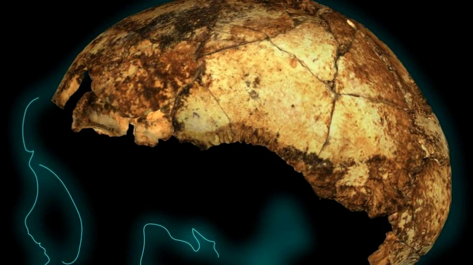 Craniul distrus al unui copil ar putea fi cea mai veche fosilă de pe Pământ a lui Homo erectus, strămoşul direct al oamenilor