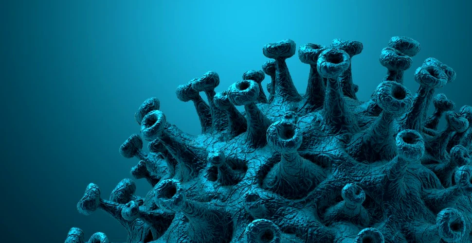 Cercetătorii au construit un coronavirus și au descoperit cum se ascunde virusul de sistemul imunitar
