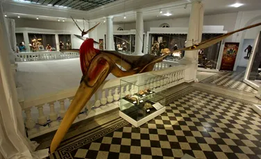 Replica celui mai mare zburător din lume poate fi admirată de astăzi la Muzeul Antipa. Descoperirea a fost realizată în Ţara Haţegului- VIDEO&FOTO