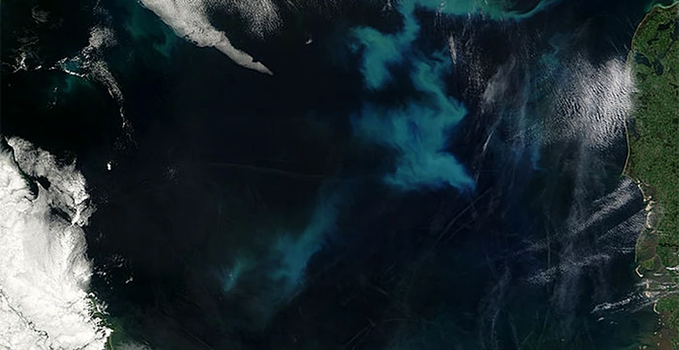 Imagine surprinsă recent de un satelit NASA. Ce se întâmplă în această mare?