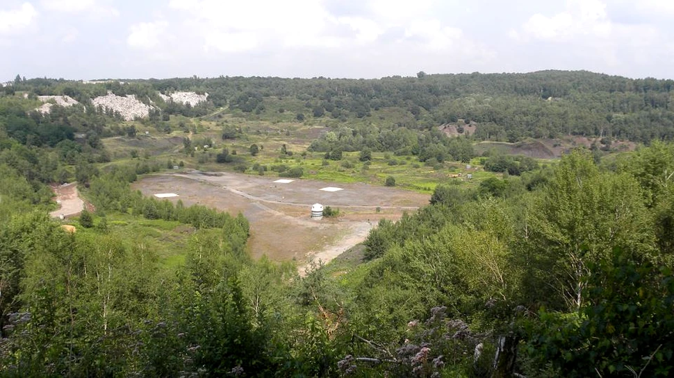 O adevărată minune paleontologică înregistrată într-o fosilă de 48 de milioane de ani: o insectă în interiorul unei şopârle în interiorul unui şarpe – FOTO