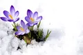 Meteorologii anunță schimbări majore în evoluția vremii