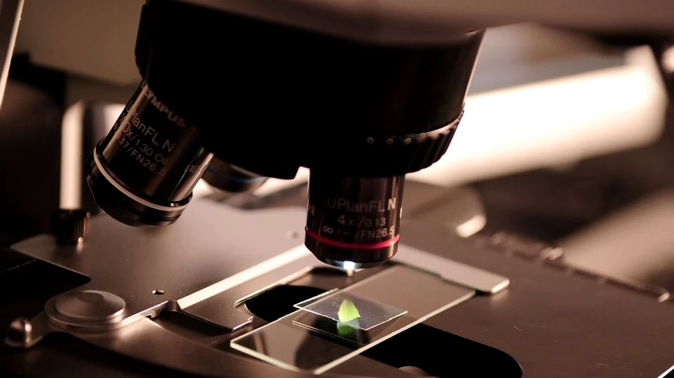 Experiment istoric cu editarea genetică în spaţiu