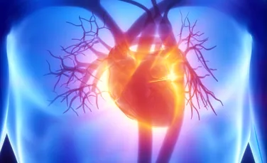 Misterul inimii rotunde: când capătă inima umană o astfel de formă neobişnuită?