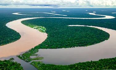 Microbi unici descoperiți în pădurea Amazoniană ar putea influența schimbările climatice