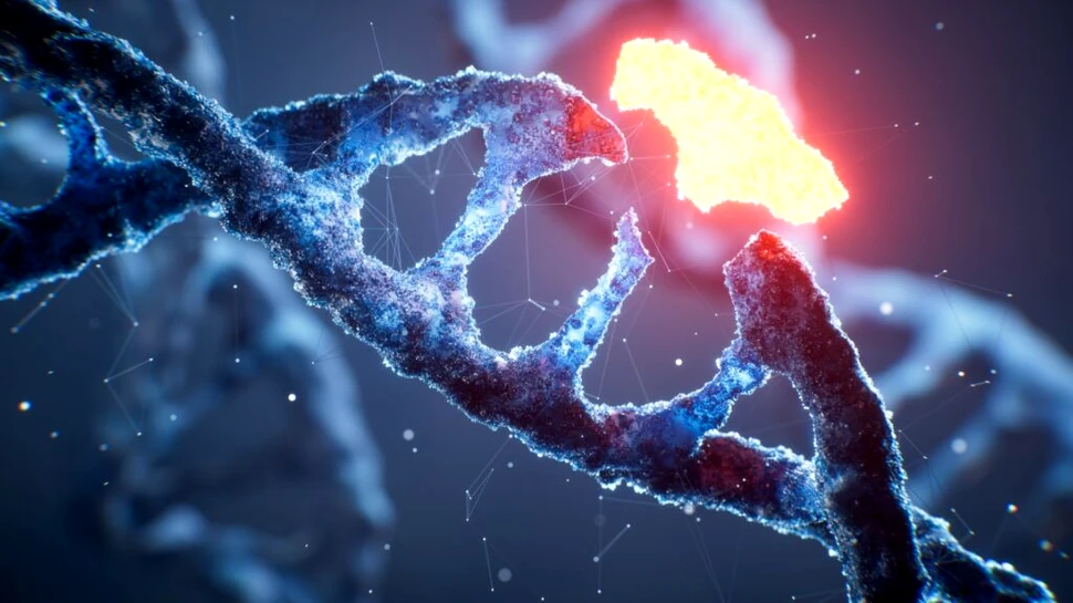 Cinci boli foarte diferite ar putea avea o legătură biologică ascunsă, au descoperit cercetătorii