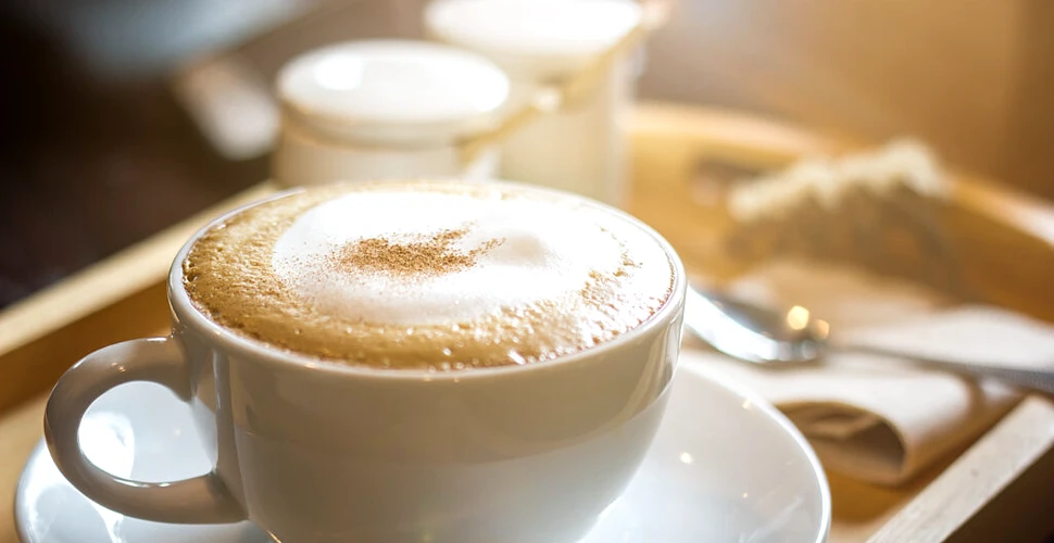 Câte cești de cafea putem bea pe zi pentru o îmbătrânire sănătoasă?