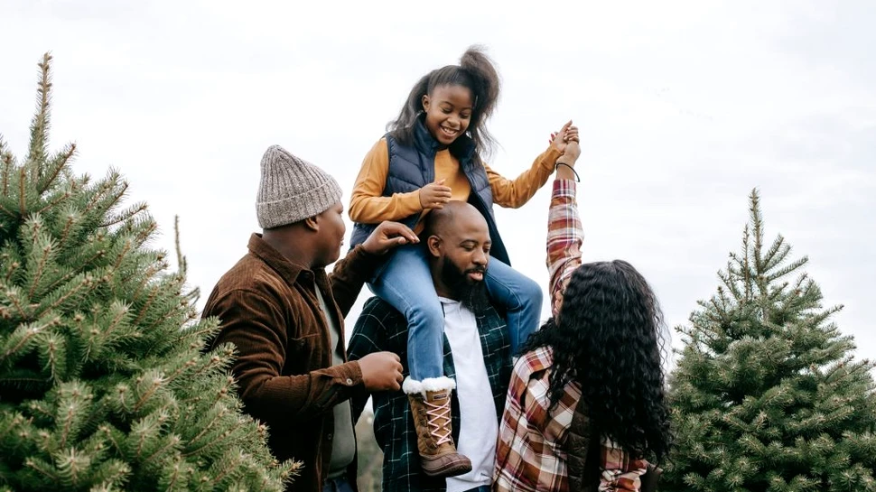 Care este mai bun pentru mediu: bradul natural sau bradul artificial?