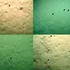 „Urmele de copite” descoperite pe fundul oceanului ar putea avea în sfârșit o explicație