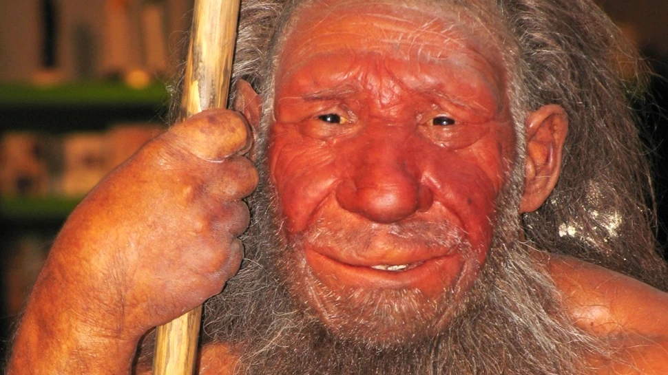 Excremente vechi de 50.000 de ani schimbă ceea ce se ştia până acum despre omul de Neanderthal