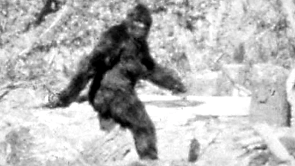 1 milion de dolari recompensa pe capul lui BigFoot