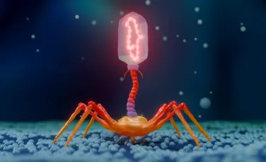 Un startup susține că a folosit cu succes un virus creat cu AI pentru a trata o infecție bacteriană