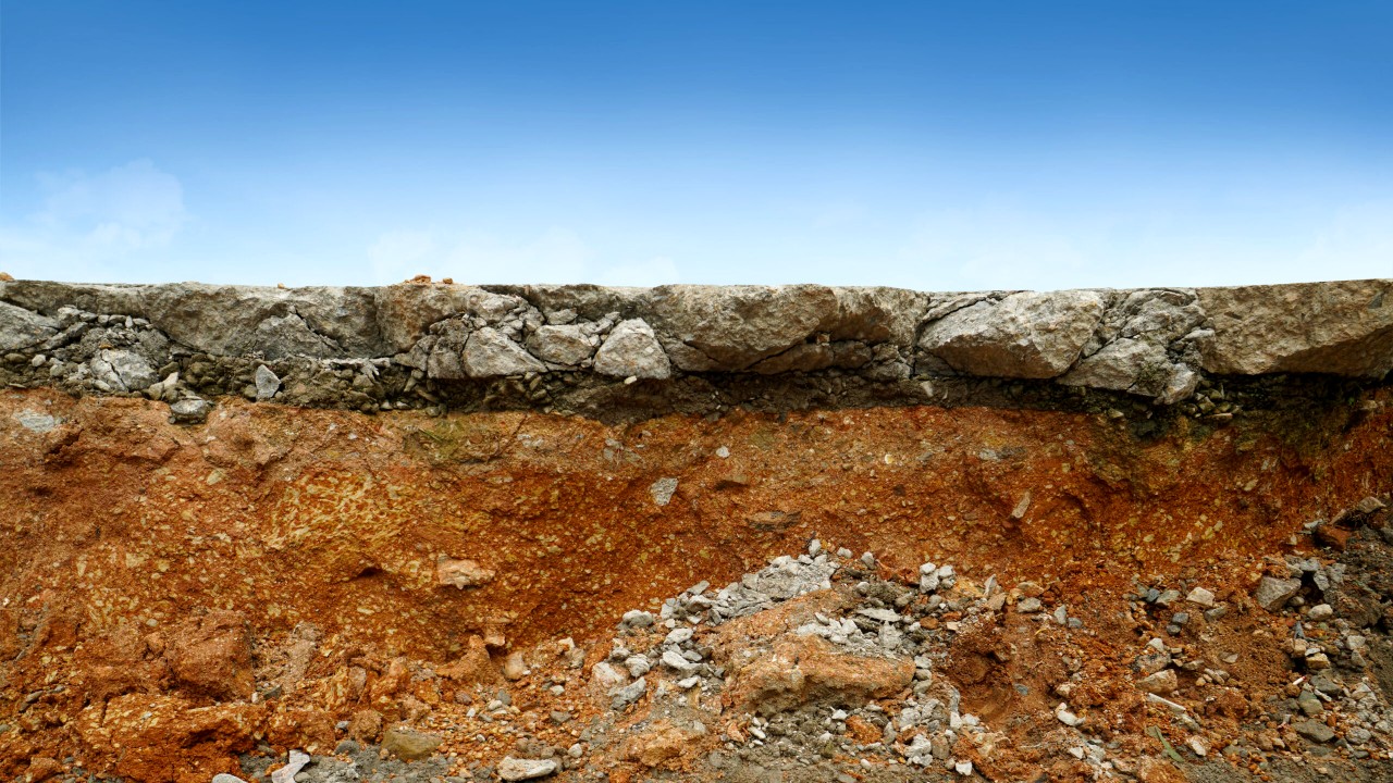 Hovawart
