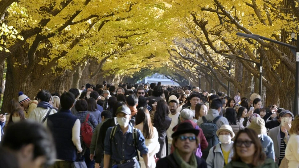 Japonia a trecut prin cea mai caldă toamnă din ultimii 126 de ani