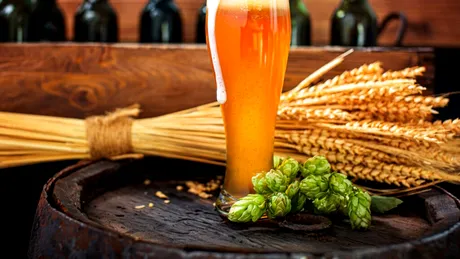 Cât timp trebuie să aștepți înainte de a urca la volan după ce ai consumat alcool?