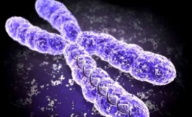 Explozia cromozomilor