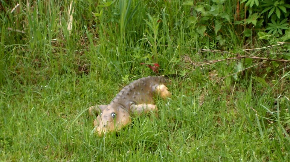 Manualele trebuie rescrise: cum arătau, de fapt, primele animale cu patru membre?