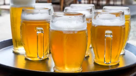„Ipoteza beției”: Să fie alcoolul cel care a dus la ascensiunea civilizației umane?
