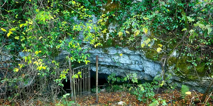 Genomul unui om dintr-o populație necunoscută până acum, recuperat dintr-o peșteră